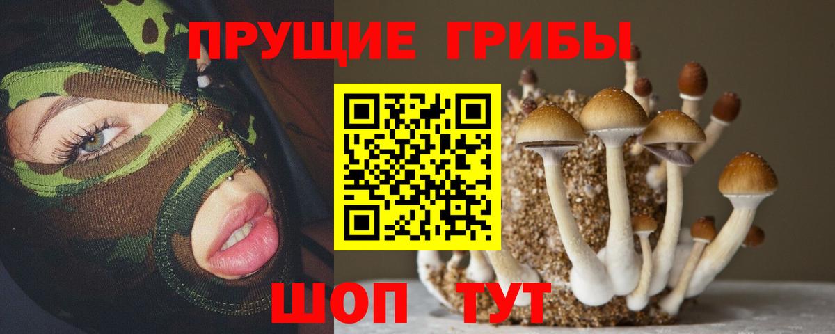 Псилоцибиновые грибы мухоморы Сосновоборск